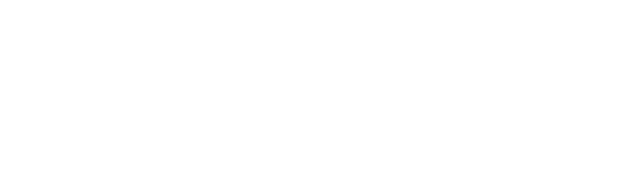 Mailchimp Partner